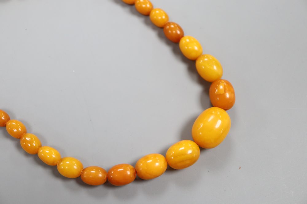 A small amber bead necklace, 18.3g gross